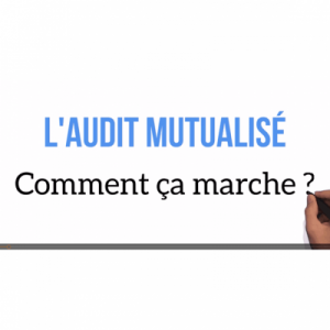 Mutual Audit